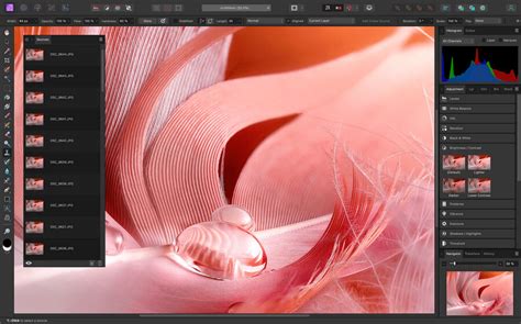 Affinity Photo — скачать бесплатно последнюю версию Аффинити Фото для ...