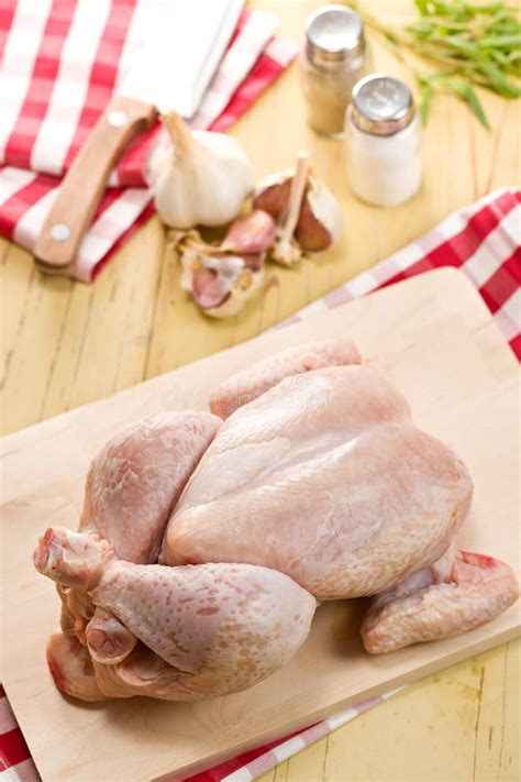 Raw chicken meat stock image. Image of meal, food, protein - 22376353