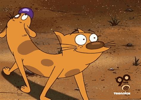 cat dog on Tumblr