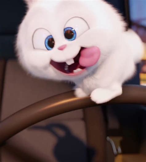 Snowball Bunny Wallpapers - Wallpaper Cave