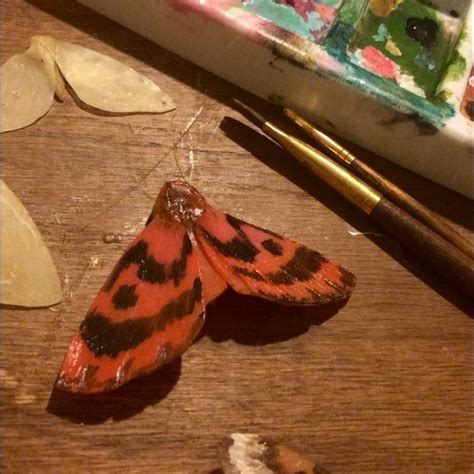 Wax Moth Workshop - Atlas Obscura Experiences