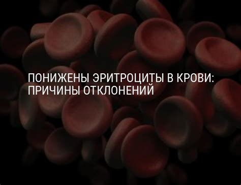 Понижены эритроциты в крови: что это значит у взрослых женщин, мужчин ...