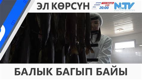 БАЛЫК БАГЫП БАЙЫ - YouTube