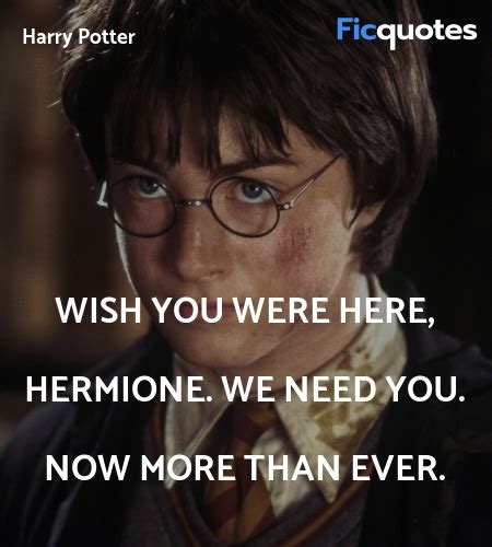 Harry Potter and the Chamber of Secrets (2002) Quotes - Top Harry ...