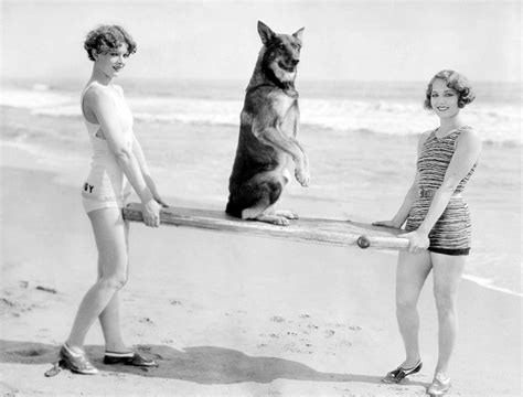 Myrna Loy, Rin-Tin-Tin and Leila Hyams - (Photographed by Walter Bensch