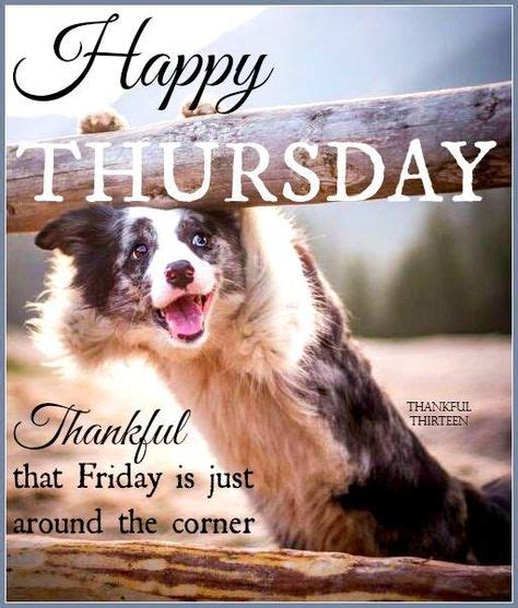 10 Dogs on Thursday... ideas | dogs, thursday, good morning thursday