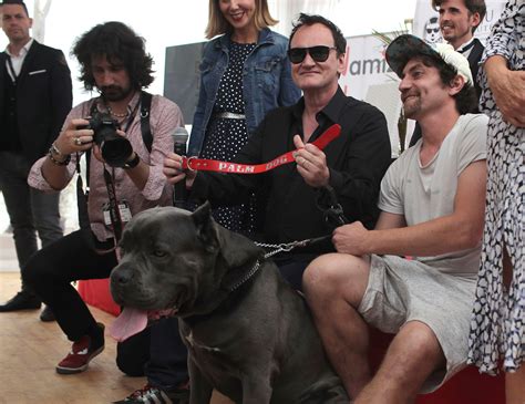 Is Peta Against Pit Bulls