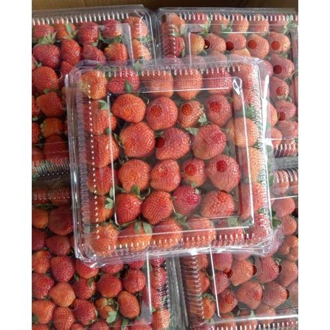 jual stroberi  kg shopee indonesia