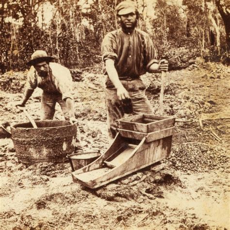 [GOLD RUSH] Gold diggers : tub & cradle process. - Douglas Stewart Fine