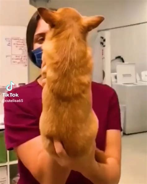 Юмор в Студию (@_smeshno_tyt_) • Instagram photos and videos