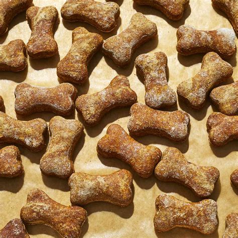 Easy Diabetic Dog Treat Recipes | Besto Blog