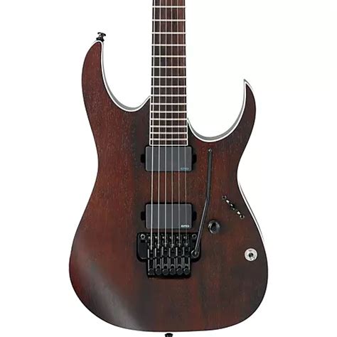 Ibanez Iron Label RG Series RGIR20BE with Tremolo Electric Guitar ...