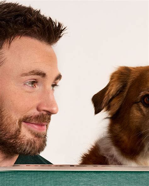 Chris Evans Says His Dog, Dodger, Is Possessive | POPSUGAR Celebrity