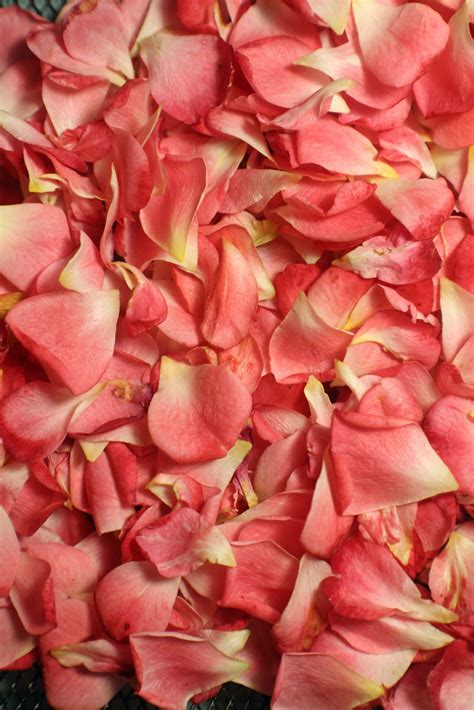 How Is Rose Petal Fabric Made? - Jayley | Blog