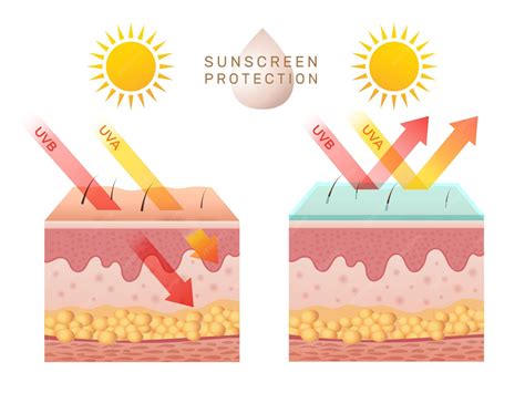 Premium Vector | Uv skin protection. Damaged human skin peels before