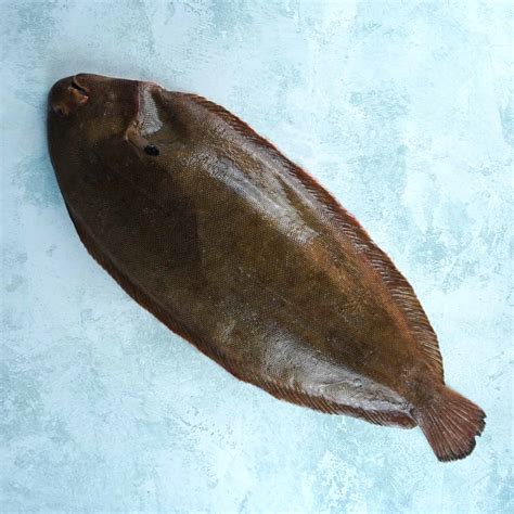 how to cook dover sole fish fillet