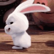 Rabbit Dance GIF - Rabbit Dance - Discover & Share GIFs