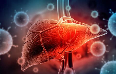 Hepatite No Fígado E Grave - Hepatite: saiba quais sintomas você deve monitorar - Olhar Digital
