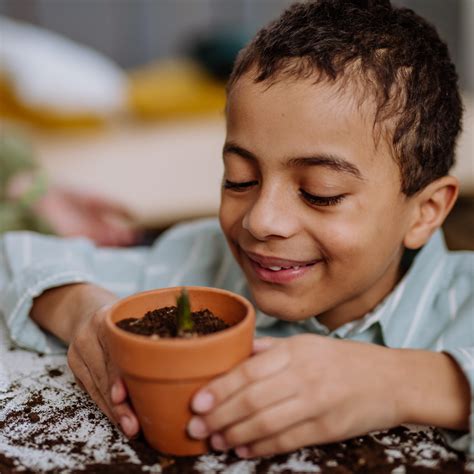 Virtual reality funerals are being tested at kevin comeau funeral home 9