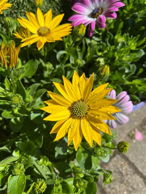 Close+Up+Big+Labia Photos, Download The BEST Free Close+Up+Big+Labia