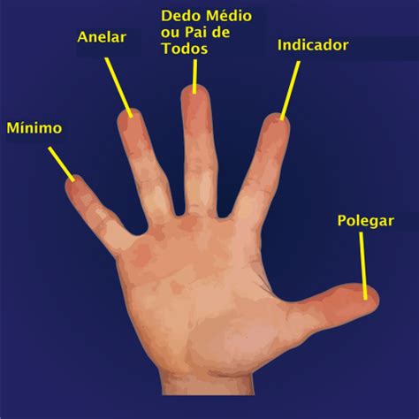 Dedo Indicador E Medio - Chupeta e Dedo – PediatriaVirtual.com
