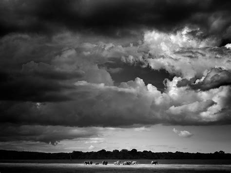Last Light - Glenn Mckimmin