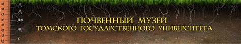 Почвенная фотогалерея