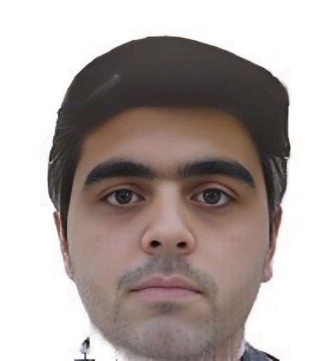 Lab Dookhtegan plus: Reza Reyhani – The Cyber Shafarat