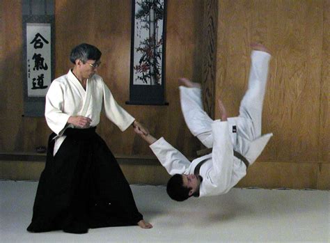 aikido encyclopedia  japan aikido martial arts martial