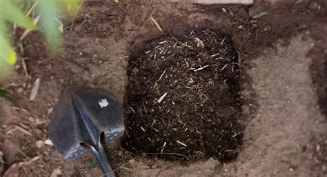 compost thrive market