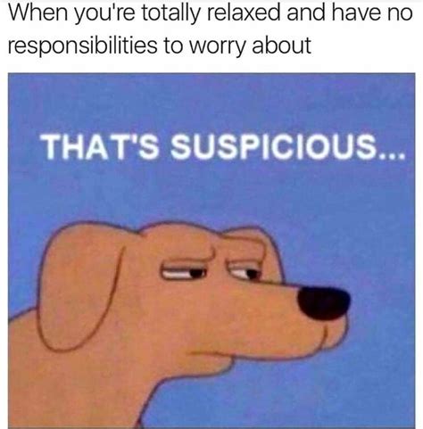 what is this feeling? : r/memes