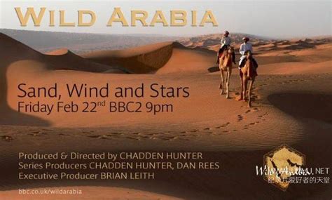 bbc wild arabia p