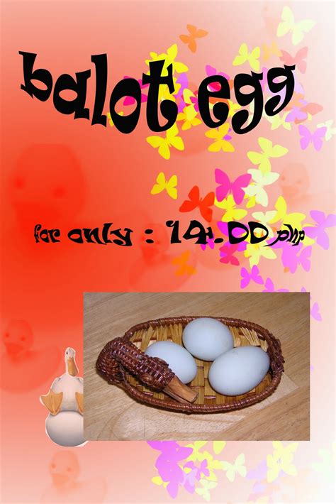 Balut- A Filipino delicacy: Facts about Balut egg.