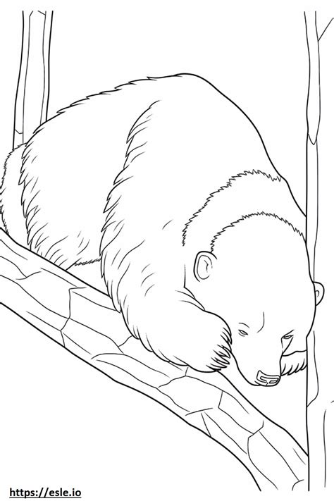 Binturong Sleeping coloring page