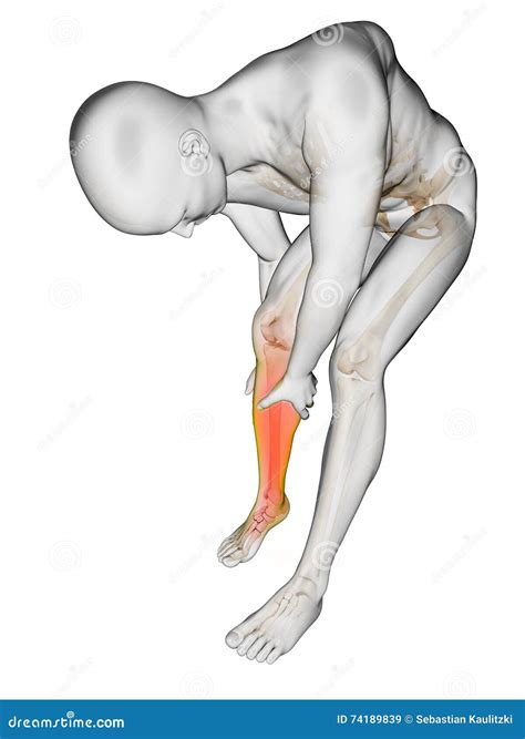 Calf pain stock illustration. Illustration of chiropractic - 74189839