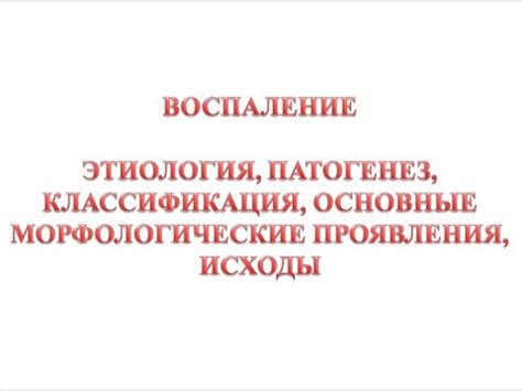 Воспаление. Общие вопросы - YouTube