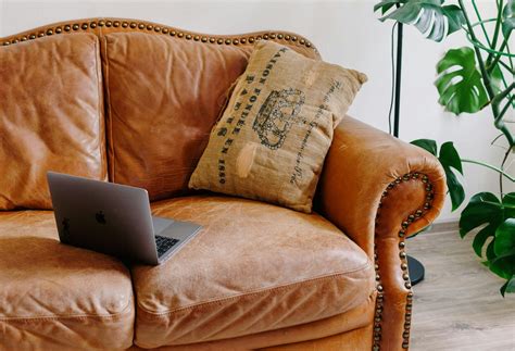 pengertian   membedakan kulit sintetis  kulit asli pt