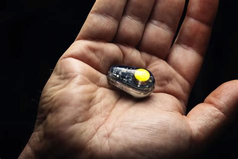 probe fishing  revolutionary tool    gimmick outdoor life