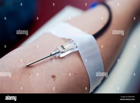 size needle    donating blood  tube