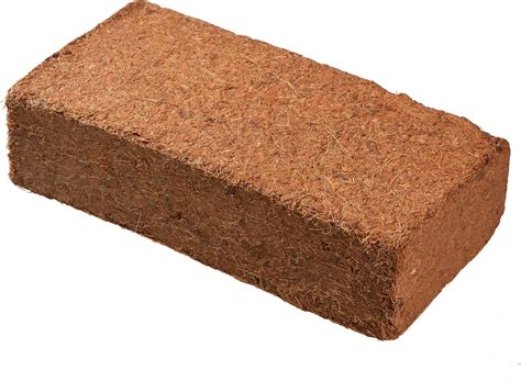 amazoncom tingmei premium coconut coir pith   ec  ph