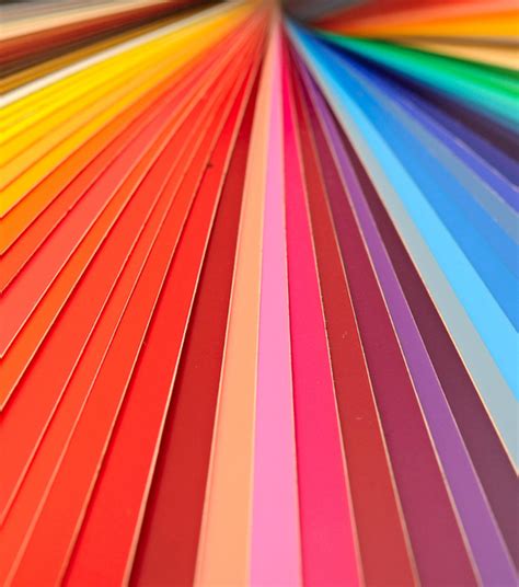 bruce beginnings colors  bruce museum