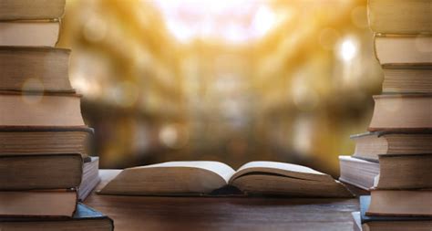 За грати умовно, але з книгою в руках: в Одесі винесли виховальний ...