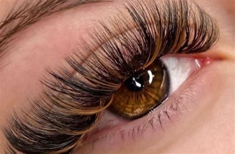 brown lash extensions  perfect choice  natural beauty