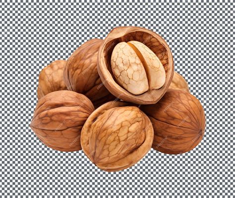 Premium PSD | Winter carya laciniosa shellbark hickory nuts isolated on