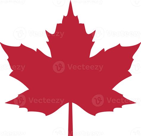 Red maple leaf png illustration 8513772 PNG