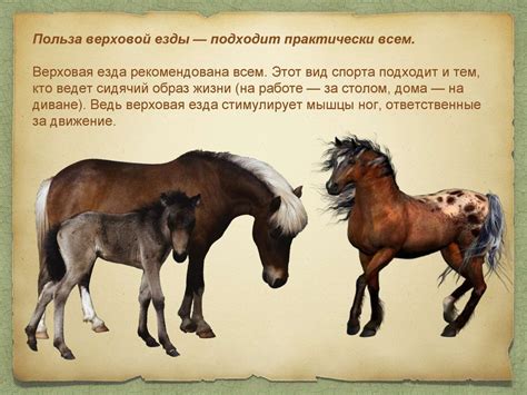 Конный спорт - презентация онлайн