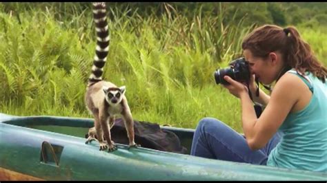 Madagascar - Lemur Island - YouTube