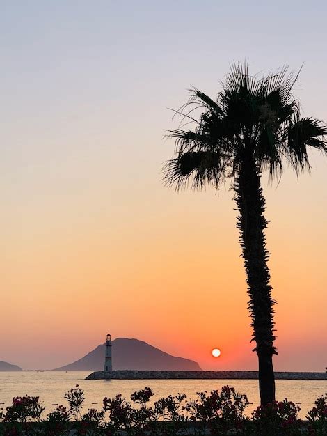 Premium Photo | Tranquility