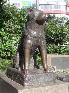 Hachiko