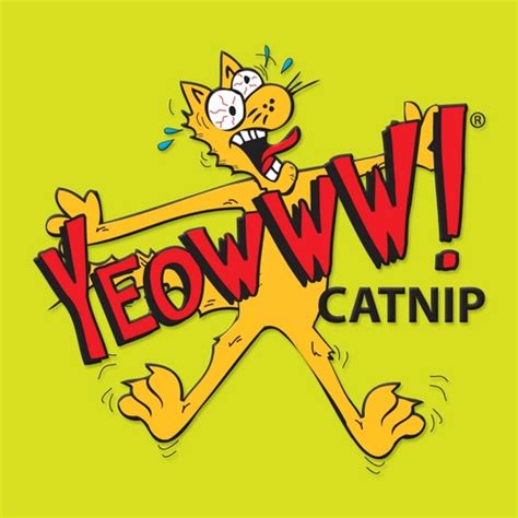 yeowww catnip  yeowwwcatnip twitter